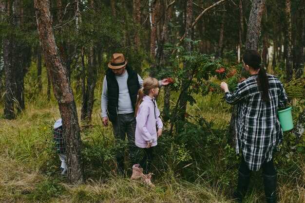 Стратегии открытия и развития бизнеса в заповедниках для начинающих предпринимателей