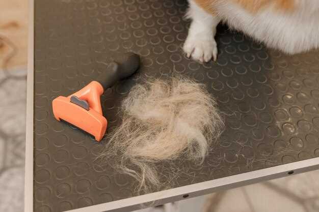 Советы по безопасности детей в интернете: как сохранить их защищенными