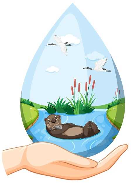Экологические инициативы по уборке и восстановлению водоемов