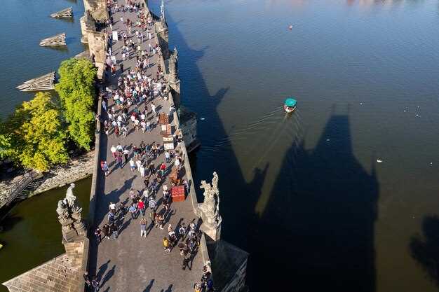 Экономические аспекты торговли и ремесел в средневековой стране