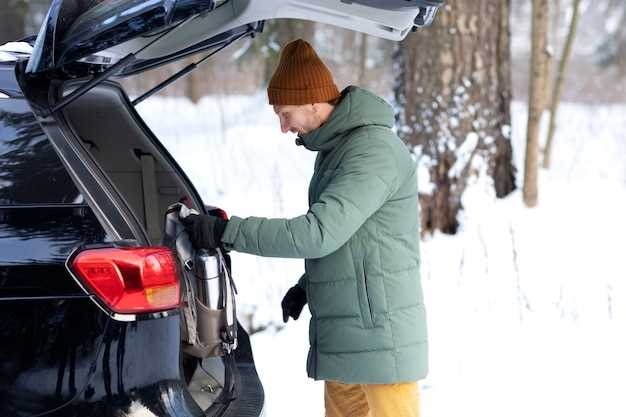 Выбор средств для мойки и их применение зимой